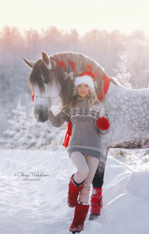  лошади и люди  ◆ horse and human