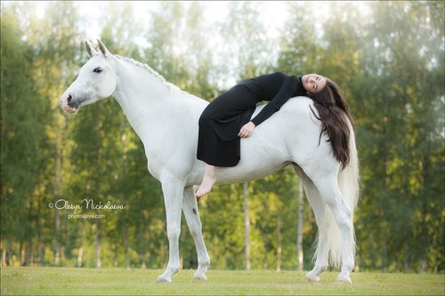  лошади и люди  ◆ horse and human