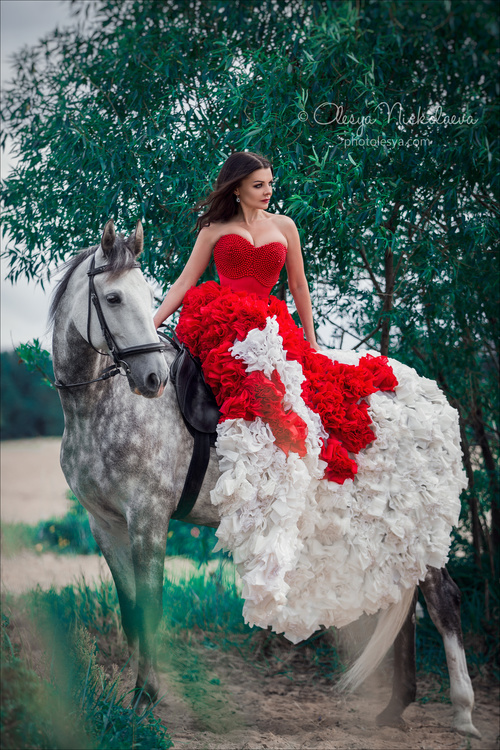  лошади и люди  ◆ horse and human