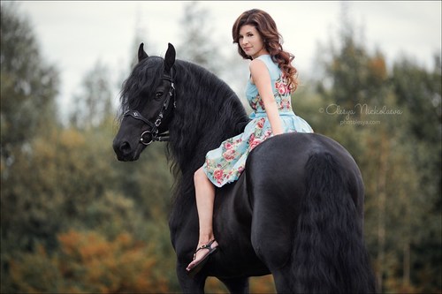  лошади и люди  ◆ horse and human
