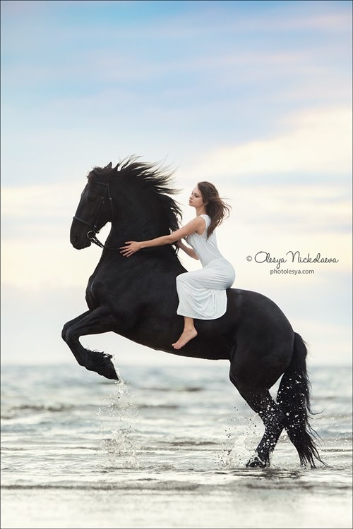  лошади и люди  ◆ horse and human