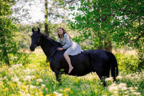  лошади и люди  ◆ horse and human