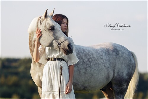  лошади и люди  ◆ horse and human