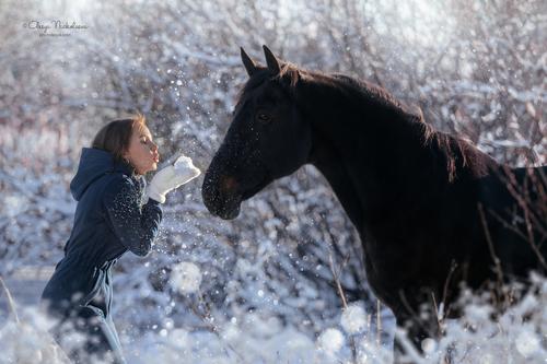  лошади и люди  ◆ horse and human