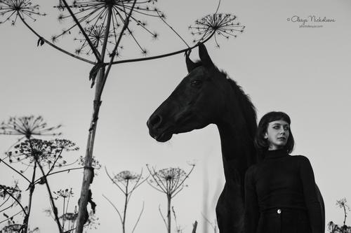  лошади и люди  ◆ horse and human
