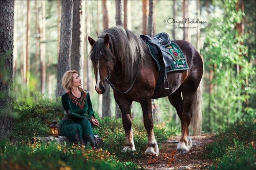 лошади и люди  ◆ horse and human