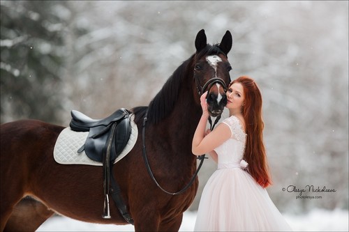  лошади и люди  ◆ horse and human