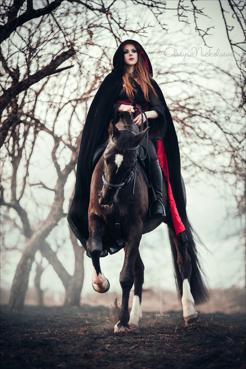  лошади и люди  ◆ horse and human