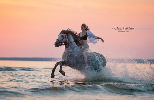  лошади и люди  ◆ horse and human