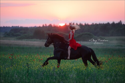  лошади и люди  ◆ horse and human