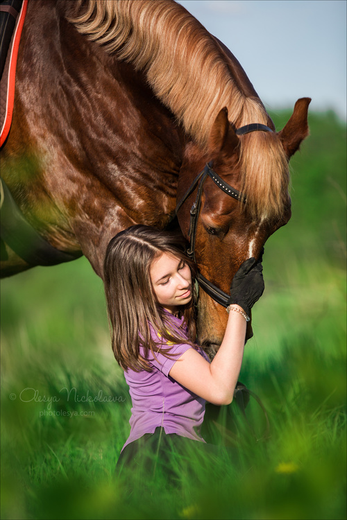  лошади и люди  ◆ horse and human