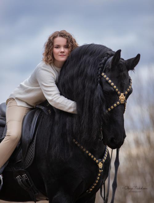 лошади и люди  ◆ horse and human