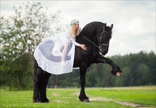  лошади и люди  ◆ horse and human