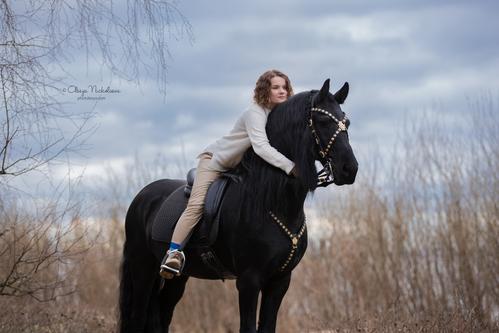  лошади и люди  ◆ horse and human