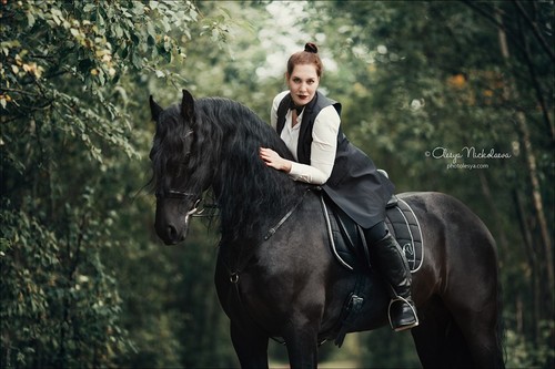  лошади и люди  ◆ horse and human