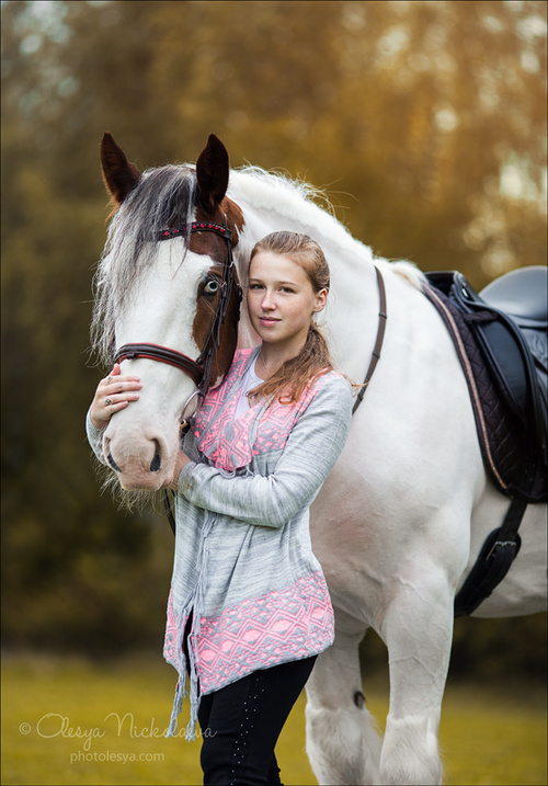  лошади и люди  ◆ horse and human