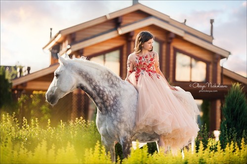  лошади и люди  ◆ horse and human