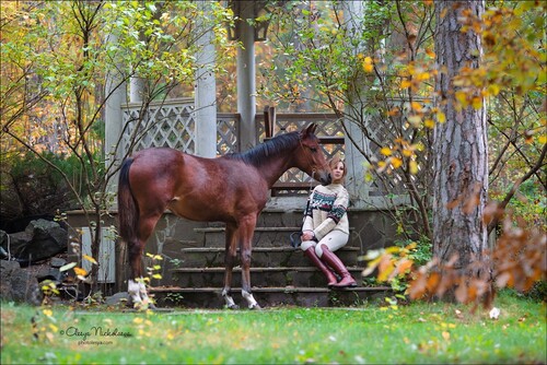  лошади и люди  ◆ horse and human