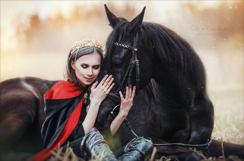  лошади и люди  ◆ horse and human