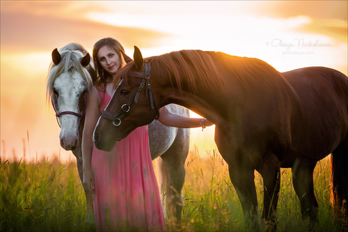  лошади и люди  ◆ horse and human