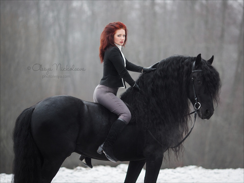  лошади и люди  ◆ horse and human