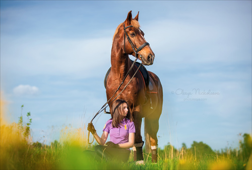  лошади и люди  ◆ horse and human