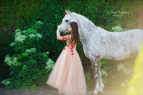  лошади и люди  ◆ horse and human