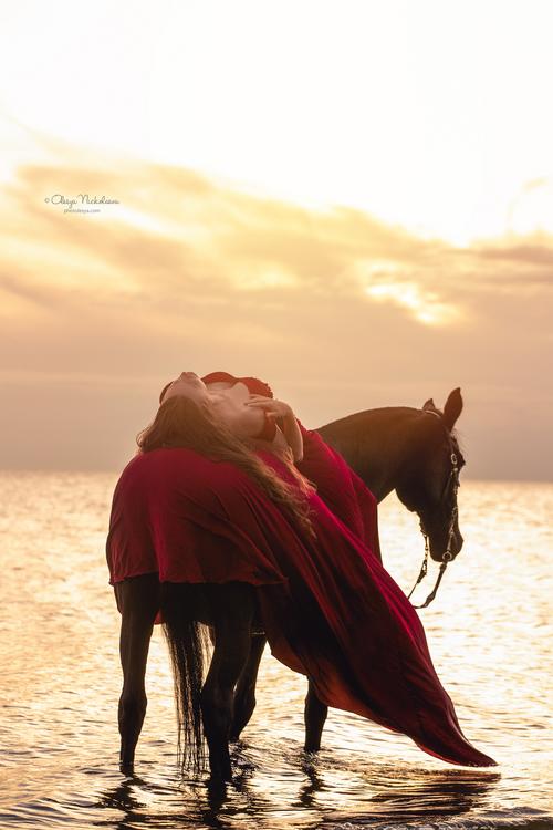 лошади и люди  ◆ horse and human