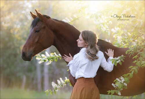  лошади и люди  ◆ horse and human