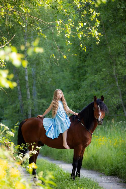  лошади и люди  ◆ horse and human