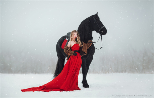  лошади и люди  ◆ horse and human
