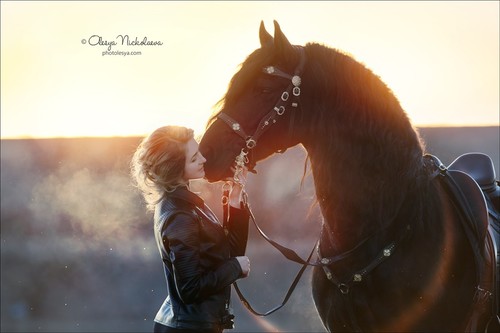  лошади и люди  ◆ horse and human