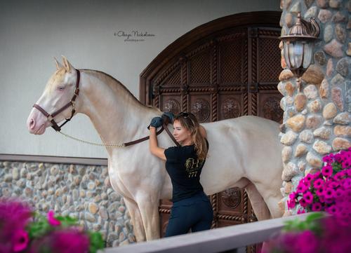  лошади и люди  ◆ horse and human