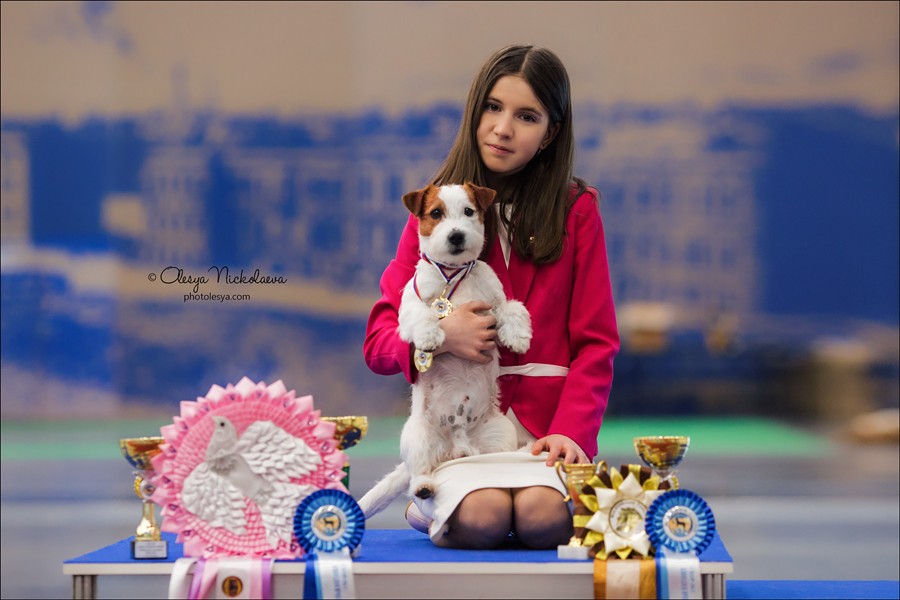 выставки ◆ shows