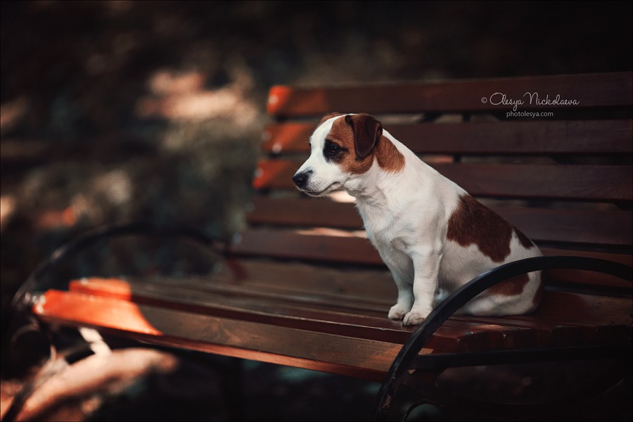 прогулка ◆ outdoor