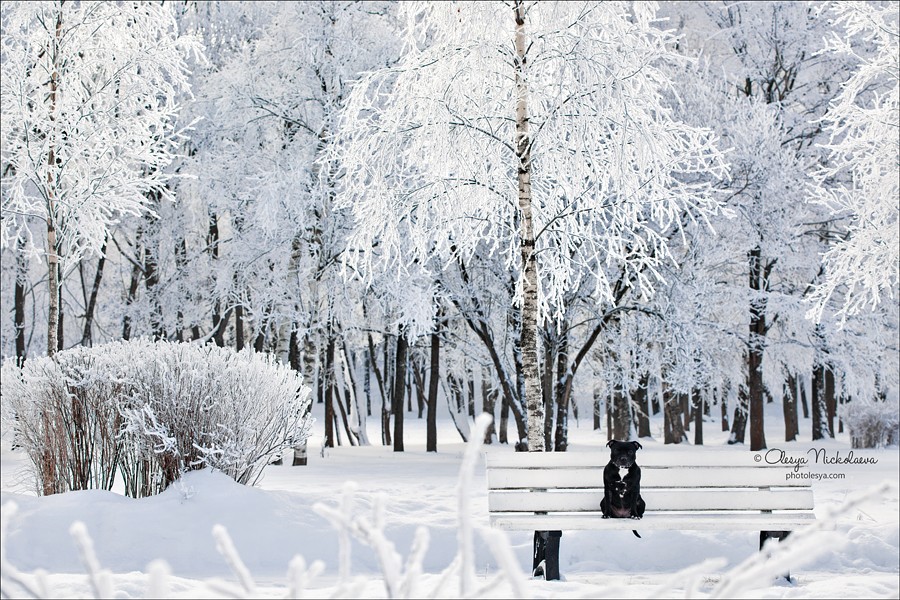 прогулка ◆ outdoor