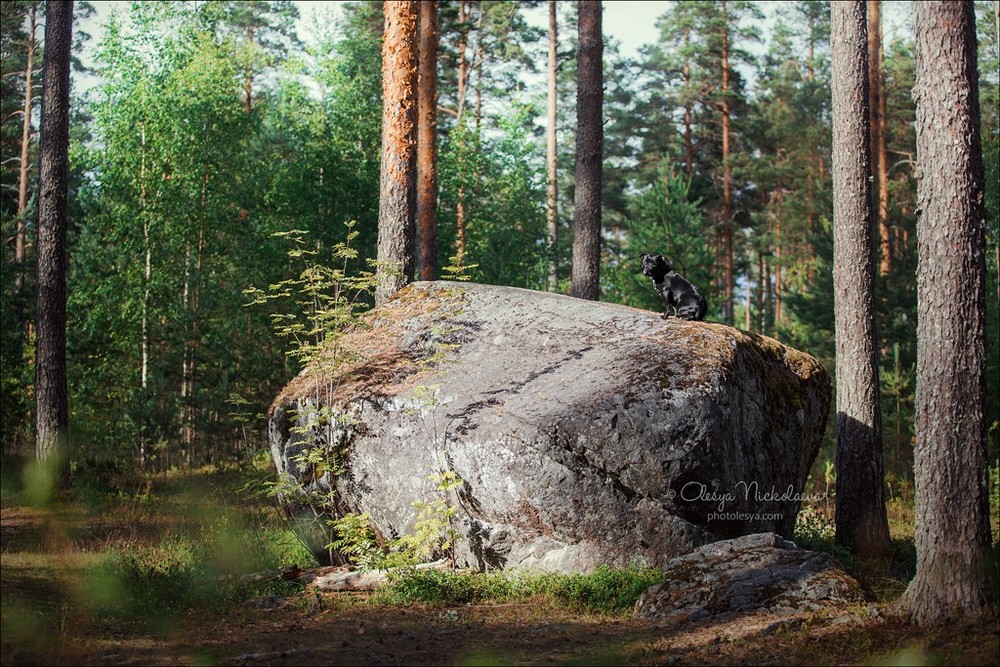 прогулка ◆ outdoor
