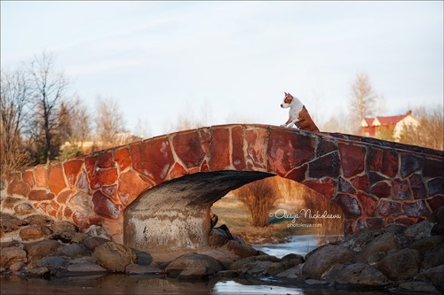 прогулка ◆ outdoor