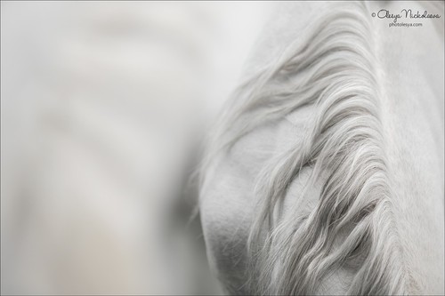 детали ◆ details