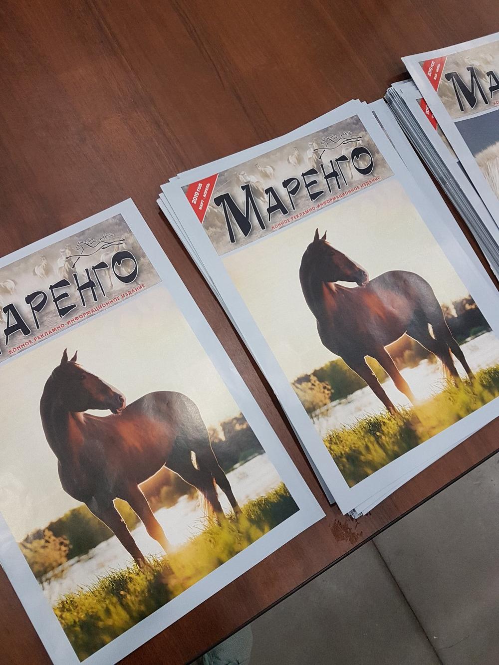 Публикации • Publications