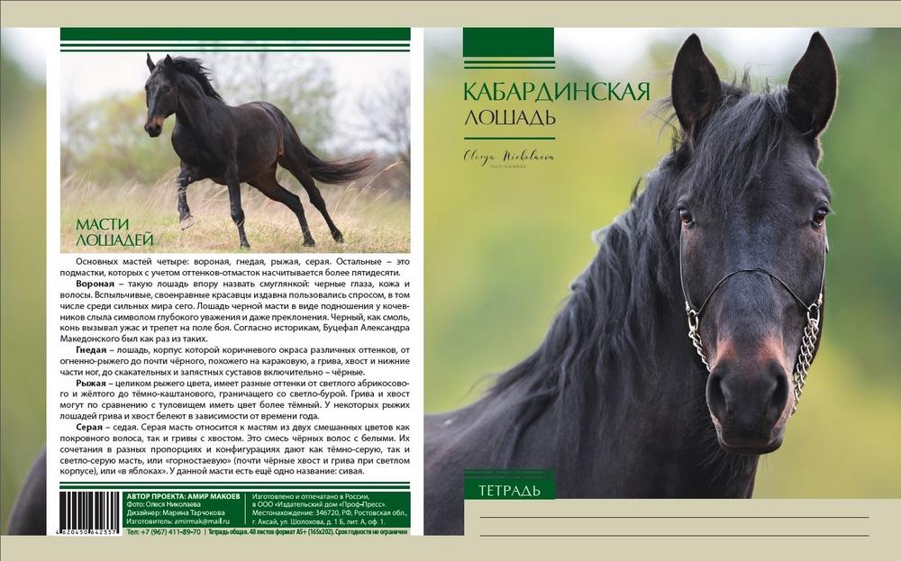 Публикации • Publications