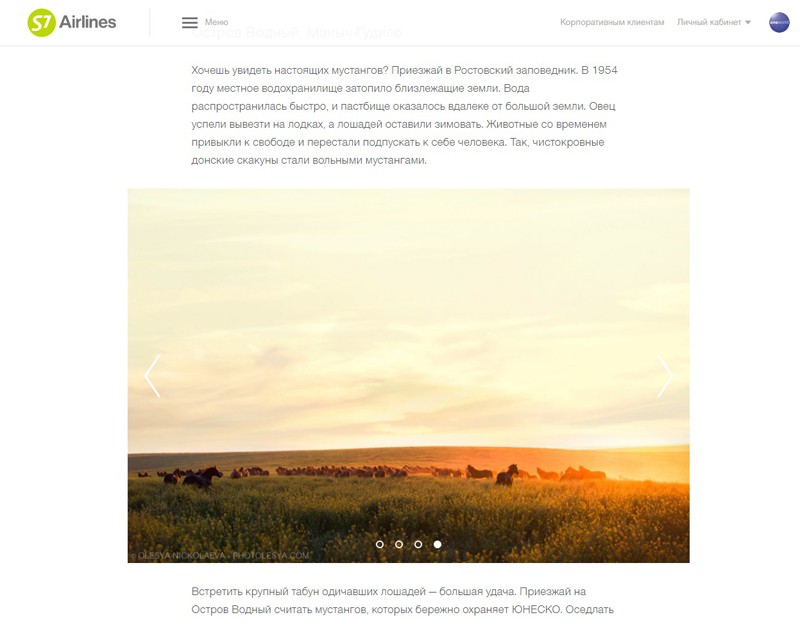 Публикации • Publications