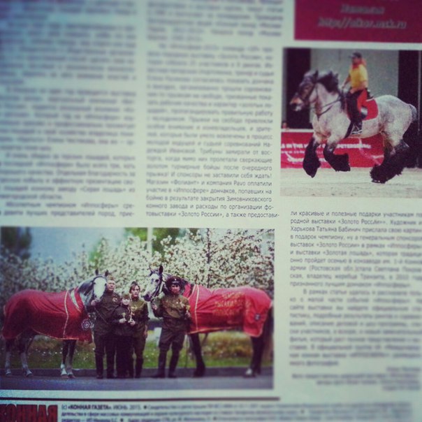 Публикации • Publications