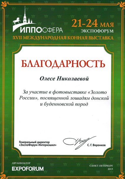 Публикации • Publications
