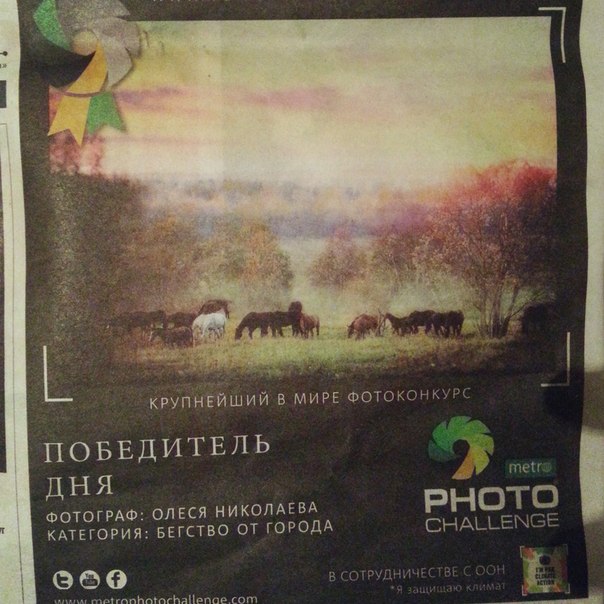 Публикации • Publications