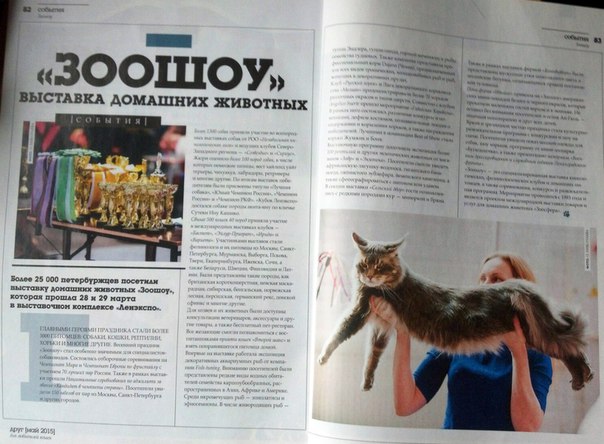 Публикации • Publications