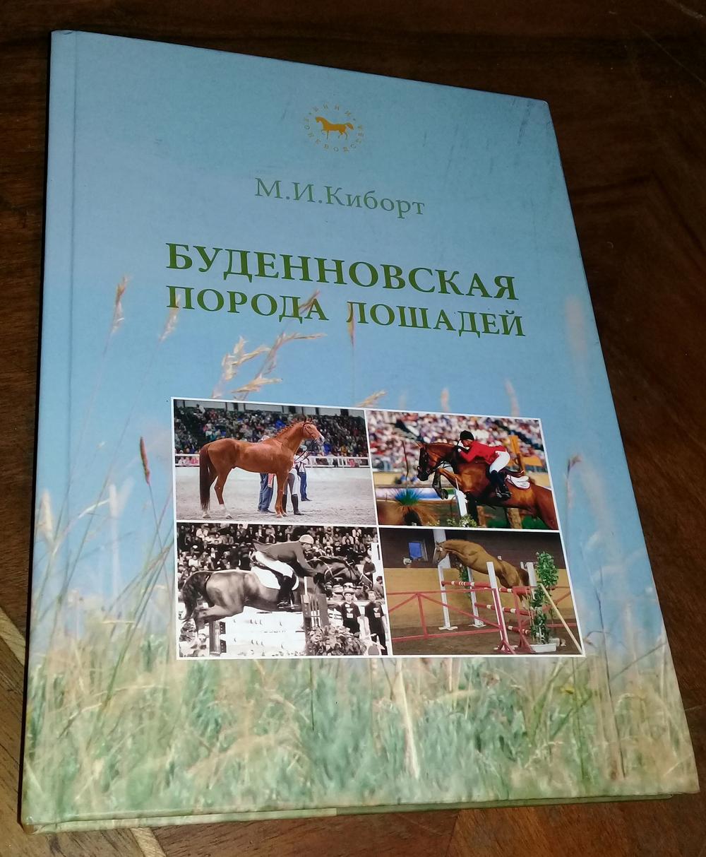 Публикации • Publications