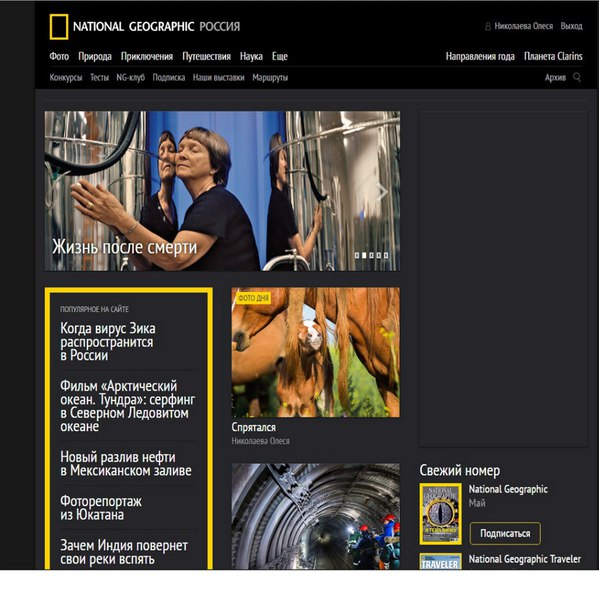 Публикации • Publications
