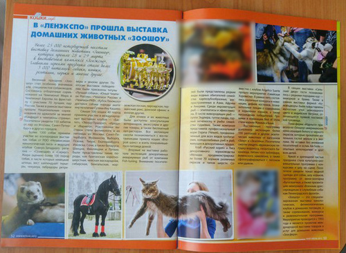 Публикации • Publications