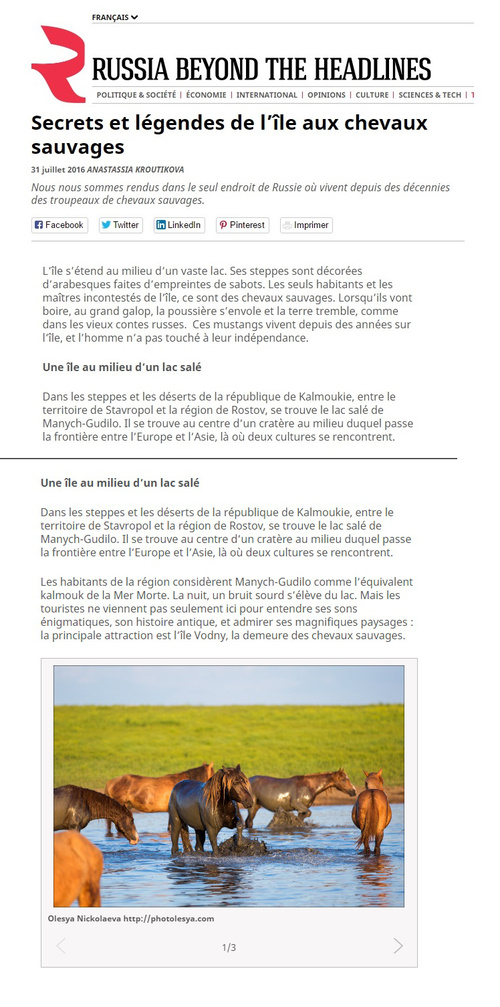 Публикации • Publications
